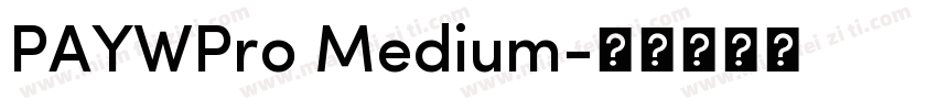 PAYWPro Medium字体转换